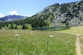 Lac des Grenouilles
