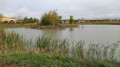 Lac des Magnolias