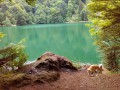 Lac des Perches Lac des Perches