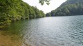 Lac des Perches (VOSGES)