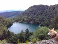 Lac des Perches vu de haut Lac des Perches vu de haut