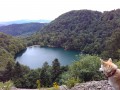 Lac des Perches vu de haut