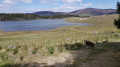 Lac des Pises