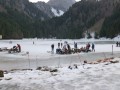 Lac des Plagnes Gelé