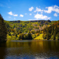 Lac des truites