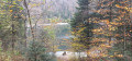 Lac du Ballon