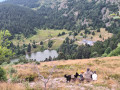 Lac du Forlet
