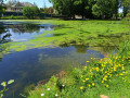 Lac du Grand Val