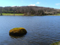 Lac du Tolerme