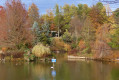 Lac en automne