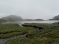 lac et brouillard