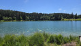 Lac Genin