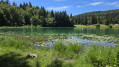 Lac Genin