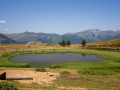 Lake in summer