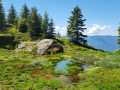 Lac L&eacute;atel