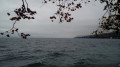 Au bord du Léman entre Amphion et le Delta de la Dranse Au bord du Léman entre Amphion et le Delta de la Dranse