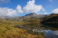 lac long