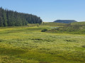 Lac Pavin