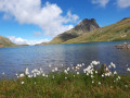 Lac Rond au pied du glacier