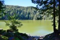 Lac vert au lac des truites