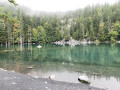 Le Lac Vert à Servoz