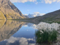 Lac