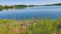 Lac