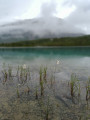 Lac