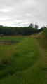 Autour du lac