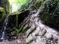 Lahneckrunde am Rheinsteig