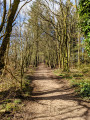 Lainshaw Woods, Stewarton