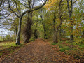 Lainshaw Woods & the Annick Water, Stewarton