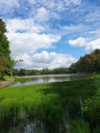 Lanark Loch
