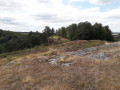 Lande de Bruyères