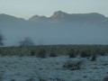 Landgdale Pikes from Elterwater