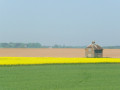 Landscape inland of the Deben estuary