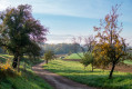 Landschautour Feldweg