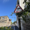 Lanouille333160
