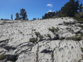 lapiaz