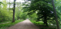 Large allée