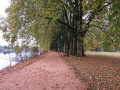 Large allée ... Large allée ...