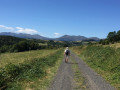 Sur les plateaux du terroir Saint-Nectaire Sur les plateaux du terroir Saint-Nectaire