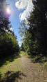 Large chemin