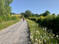 Large chemin ... Large chemin ...