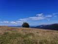 Lauchenkopf