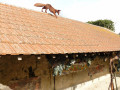 Lavoir du Ruvet