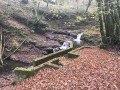 Lavoir