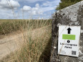 Le balisage