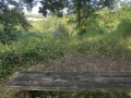 le banc à Suzanne