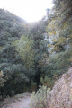 La route du Barranc de l'Infern de la Font Roja à Alcoy